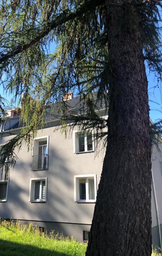 Apartament w Stroniu Stronie Śląskie Zewnętrze zdjęcie